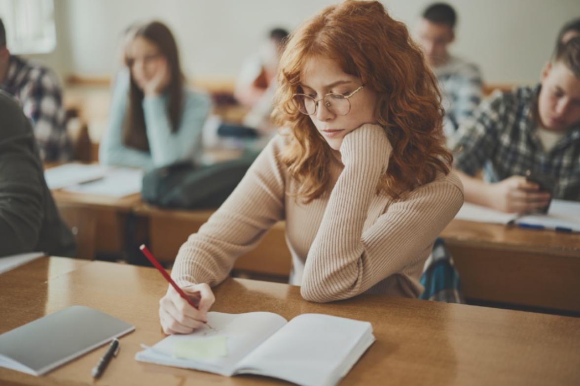 Team collaboration in family business financial planning session